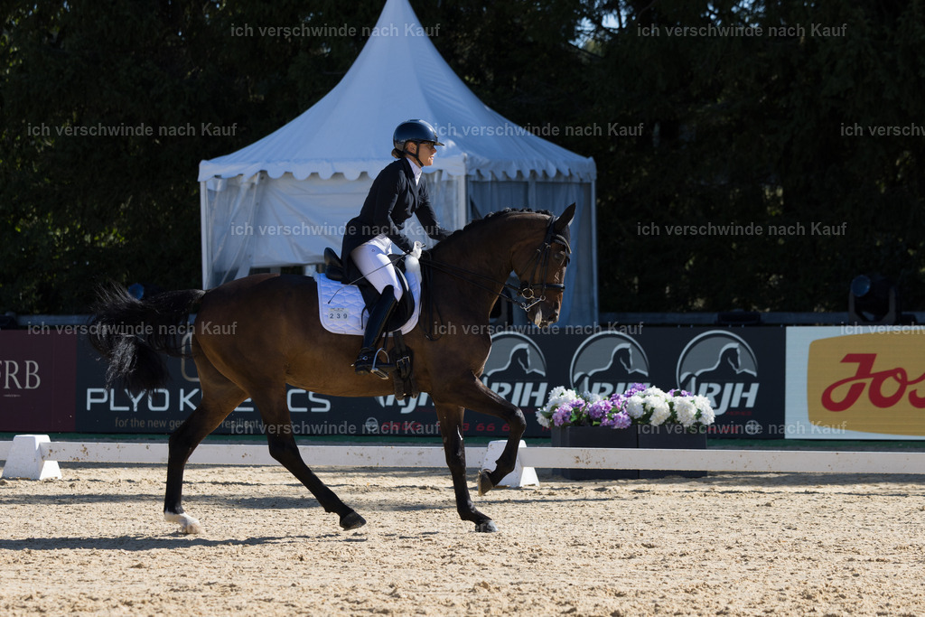 FHC2026_P07_239_17721 | working equitationturnier fotograf videograf stoibphotography marixx film working equitation deutschland reitsport turnierfotografie eventfotografie equestrian events