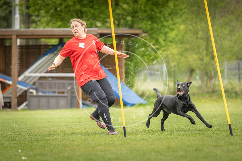 Pfotenfotografie_DV3A0375 | Hundefotografie, Tierfotograf, Pfotenfotografie, Fotoshooting Hund, Hunde Portrait, Hundesport, Hundeportraits, Heideshooting, Hunde, Sportfotograf, Hundefotograf, Turnierhundsport, THS,  - Realisiert mit Pictrs.com