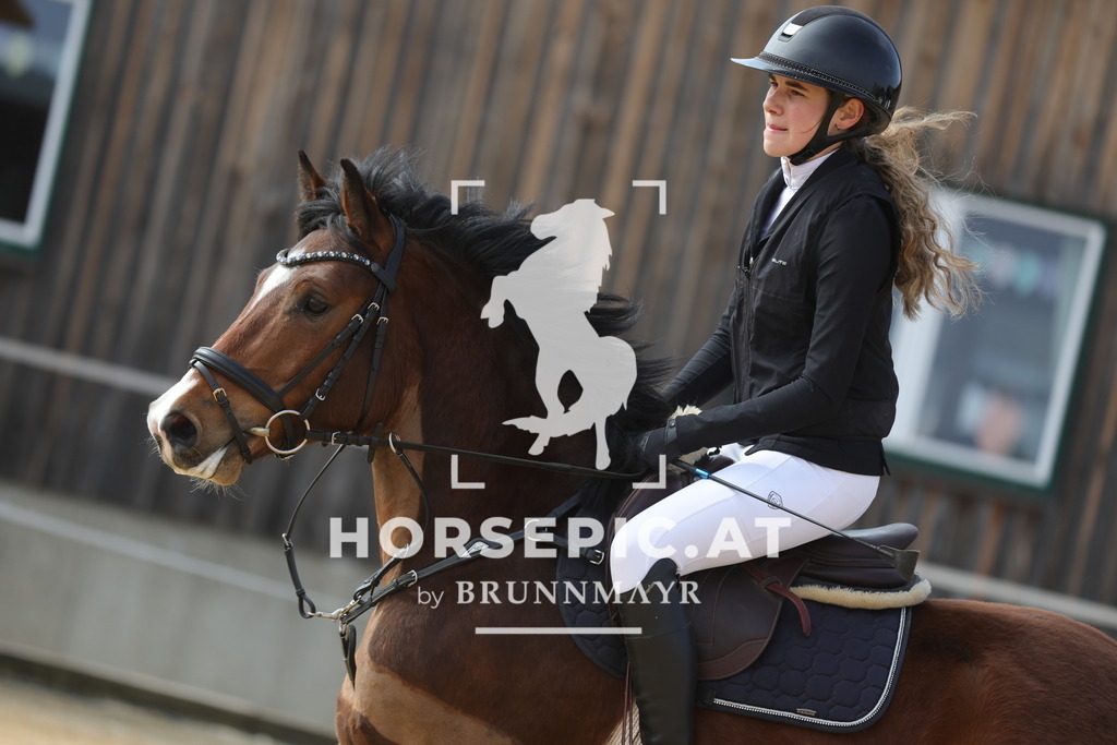 0P6A9353 | Willkommen bei Brunnmayr - Design & Fotografie – Ihrem Spezialisten für Reitturniere und Pferdeveranstaltungen in Oberösterreich, Salzburg und Bayern! Seit über 17 Jahren sind wir leidenschaftlich dabei.