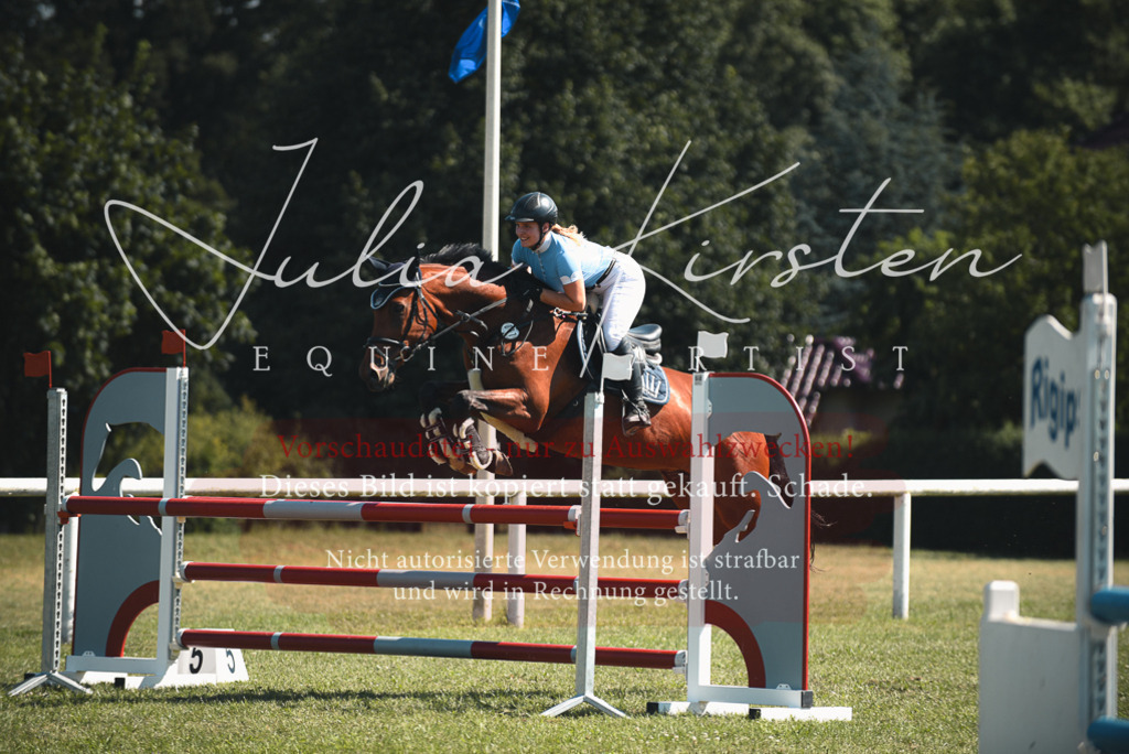DSC_7153 | Pferde- und Turnierfotografie in Westsachsen. Pferdeportraits, Auftragszeichnungen und intuitive Kunst.