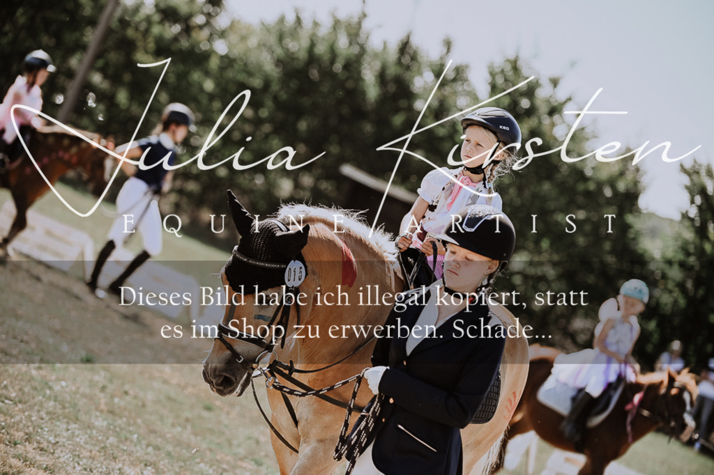 DSC_9042 | Pferde- und Turnierfotografie in Westsachsen. Pferdeportraits, Auftragszeichnungen und intuitive Kunst.