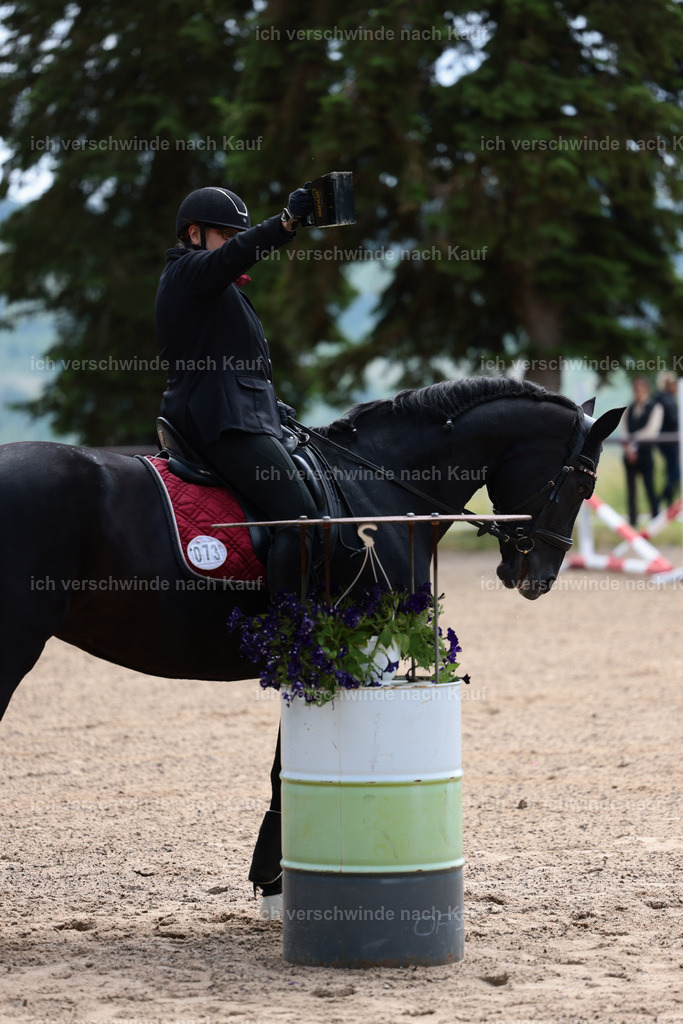 KlasseE_Stoibphotography_CAM22227.JPG | working equitationturnier fotograf videograf stoibphotography marixx film working equitation deutschland reitsport turnierfotografie eventfotografie equestrian events