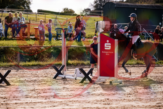 2026_10_03_Siefer-Hof_145705_Z81_38325909 | Professionelle Reitsport-, Turnier- und Eventfotografie von Robert Broda. Galerien mit ausgewählten und bearbeiteten Bildern direkt online ansehen und bestellen.