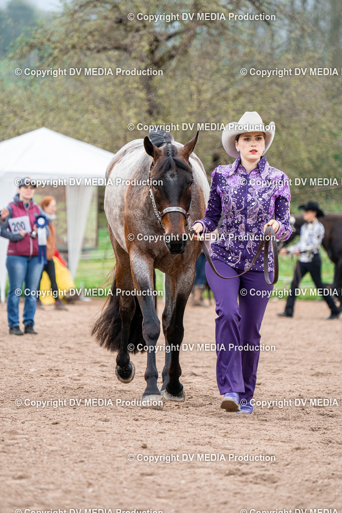 BA300191 | dv-media-shop - Realisiert mit Pictrs.com