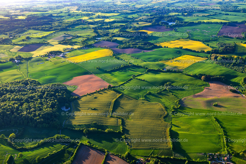 Preetz_Holsteinische_Schweiz_Felder_ELS_2198150524 | BLEKENDORF 15.05.2024 Wellenförmige Grasflächen- Strukturen einer Hügel- Landschaft " Holsteinische Schweiz " an der Straße Schoolbrook in Blekendorf im Bundesland Schleswig-Holstein, Deutschland. // Wavy grass surface structures of a hilly landscape " Holsteinische Schweiz " on street Schoolbrook in Blekendorf in the state Schleswig-Holstein, Germany. Foto: Martin Elsen