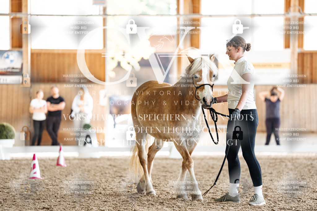 CK908592 | Turnierfotografie Pferdefotografie Trier Rheinland-Pfalz Pferdesport Reitsport Tierfotografie Sportfotografie Pferdevideo Pferdevideografie Equestrianvideography equestrianphotography  - Realisiert mit Pictrs.com