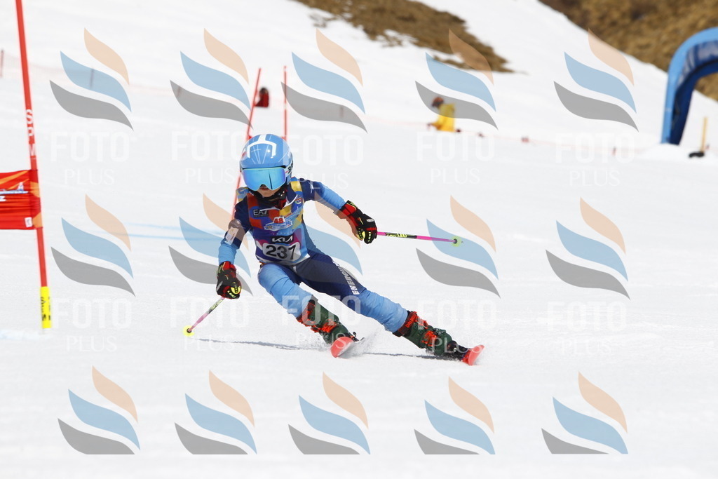 _U3G6037 | holidayphoto