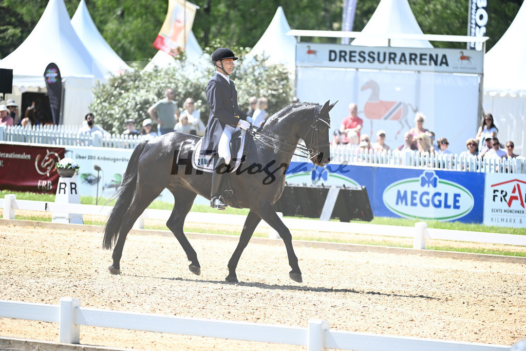 Spatz_Walentina_12246286 | hf-fotografie - Realisiert mit Pictrs.com