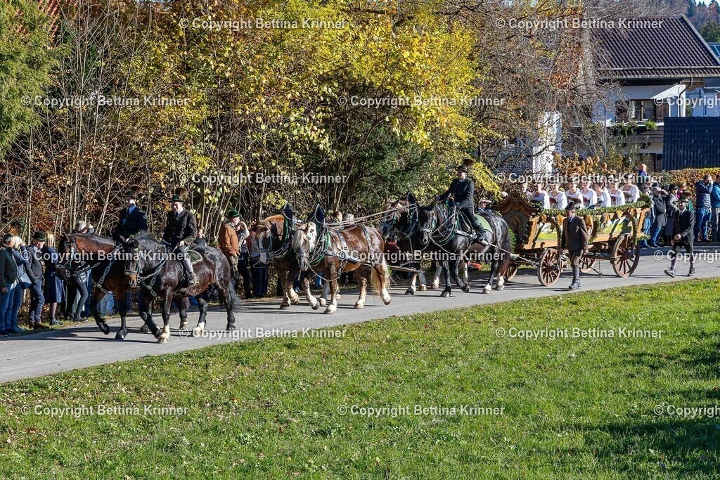 LBT25-81 | foto-bettina-krinner - Realisiert mit Pictrs.com