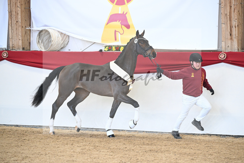 Kat.-Nr. 16 v. Cornet_s Balou_Laue_2251720 | hf-fotografie - Realisiert mit Pictrs.com