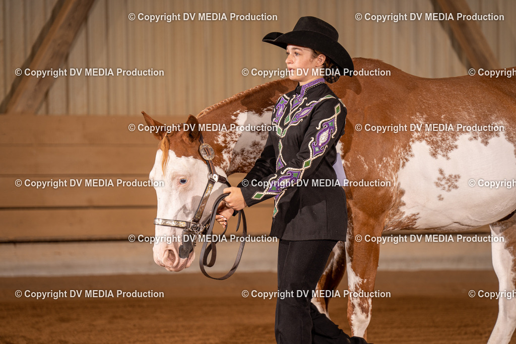 NID00045 | dv-media-shop - Realisiert mit Pictrs.com