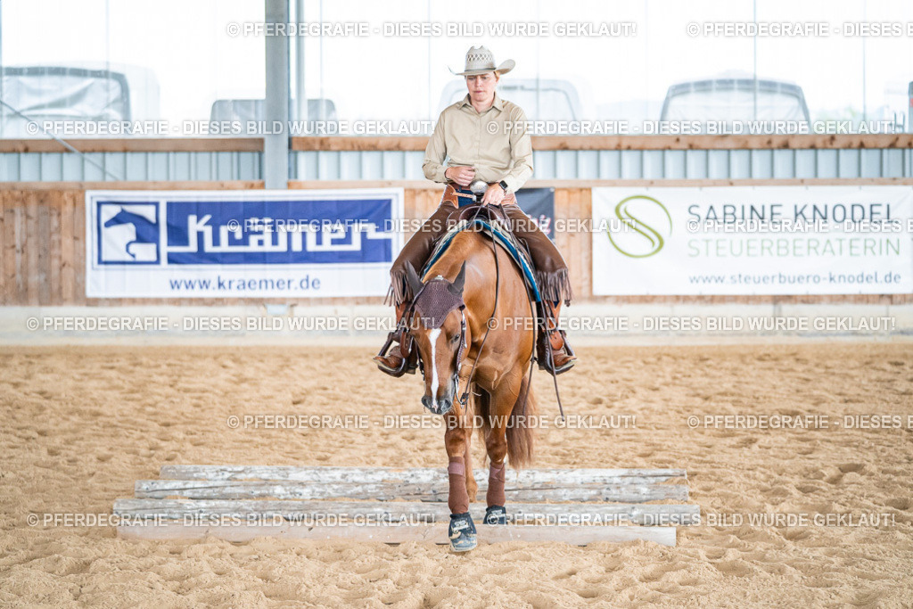 DSC07425 | Pferdegrafie