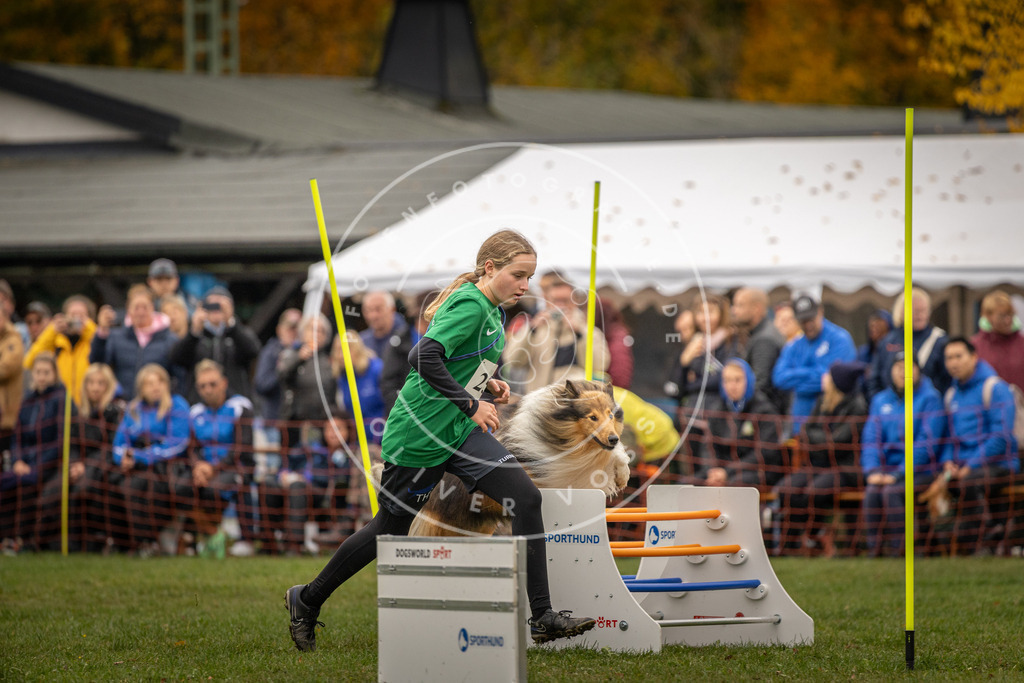 Pfotenfotografie_DV3A6627 | Hundefotografie, Tierfotograf, Pfotenfotografie, Fotoshooting Hund, Hunde Portrait, Hundesport, Hundeportraits, Heideshooting, Hunde, Sportfotograf, Hundefotograf, Turnierhundsport, THS,  - Realisiert mit Pictrs.com