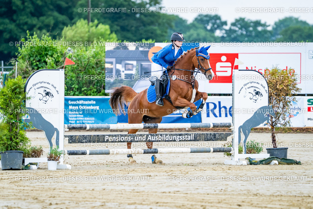 DSC01068 | Pferdegrafie