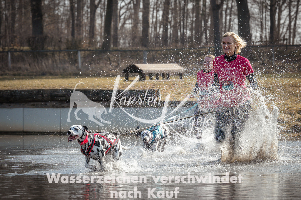 1113_ZZ93121 | kk-dogfotos