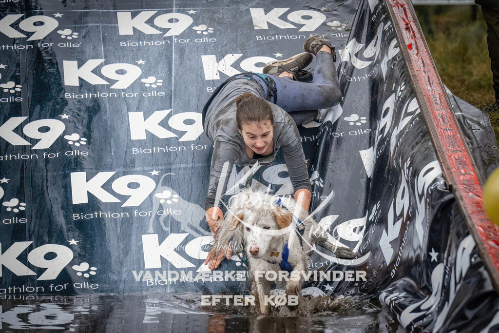 1232_ZZ90113 | kk-dogfotos