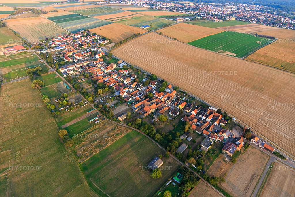 Luftbild: Dorfansicht von Norden im Ortsteil Minderslachen in Kandel im Bundesland Rheinland-Pfalz in Deutschland. Foto: IMG_110721.jpg vom 05.09.2018 durch Werner Riehm/FLY-FOTO.de