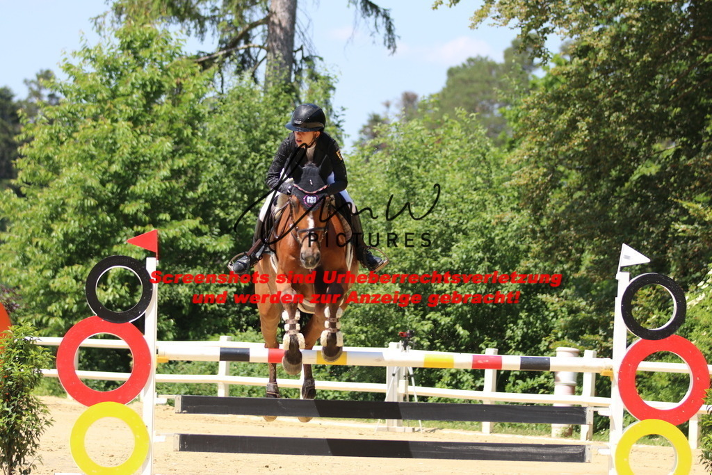 IMG_2268 | lmwpictures - Realisiert mit Pictrs.com