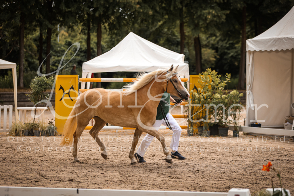 06.So00041 | Leoni Ertmer Photography - Realisiert mit Pictrs.com