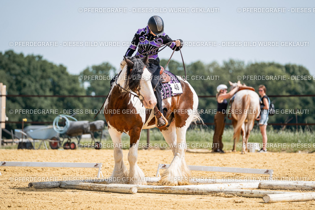 DSC00046 | Pferdegrafie