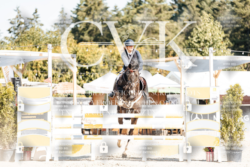 CK902497 | Turnierfotografie Pferdefotografie Trier Rheinland-Pfalz Pferdesport Reitsport Tierfotografie Sportfotografie Pferdevideo Pferdevideografie Equestrianvideography equestrianphotography  - Realisiert mit Pictrs.com