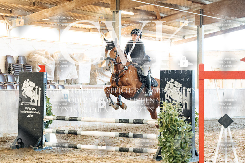 CK904101 | Turnierfotografie Pferdefotografie Trier Rheinland-Pfalz Pferdesport Reitsport Tierfotografie Sportfotografie Pferdevideo Pferdevideografie Equestrianvideography equestrianphotography  - Realisiert mit Pictrs.com