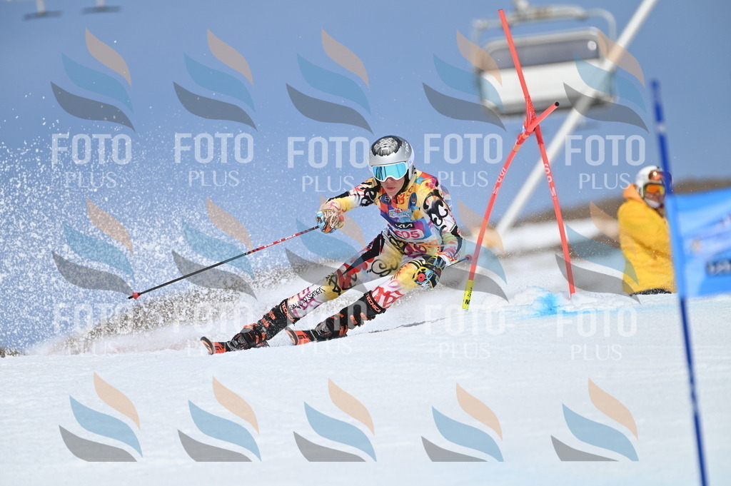 BGV_1049 | holidayphoto