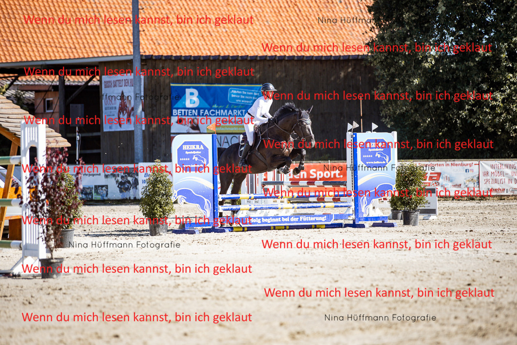 BK1A8015 | Turnierbilder Turnierfotos Nina Hüffmann Turnierfotografie Pferdefotografie Tierzeichnung Haustierzeichnung Pferdezeichnung Hundezeichnung Videograf  - Realisiert mit Pictrs.com
