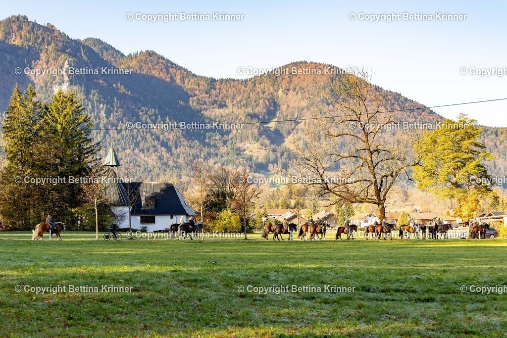 LL24-371 | foto-bettina-krinner - Realisiert mit Pictrs.com