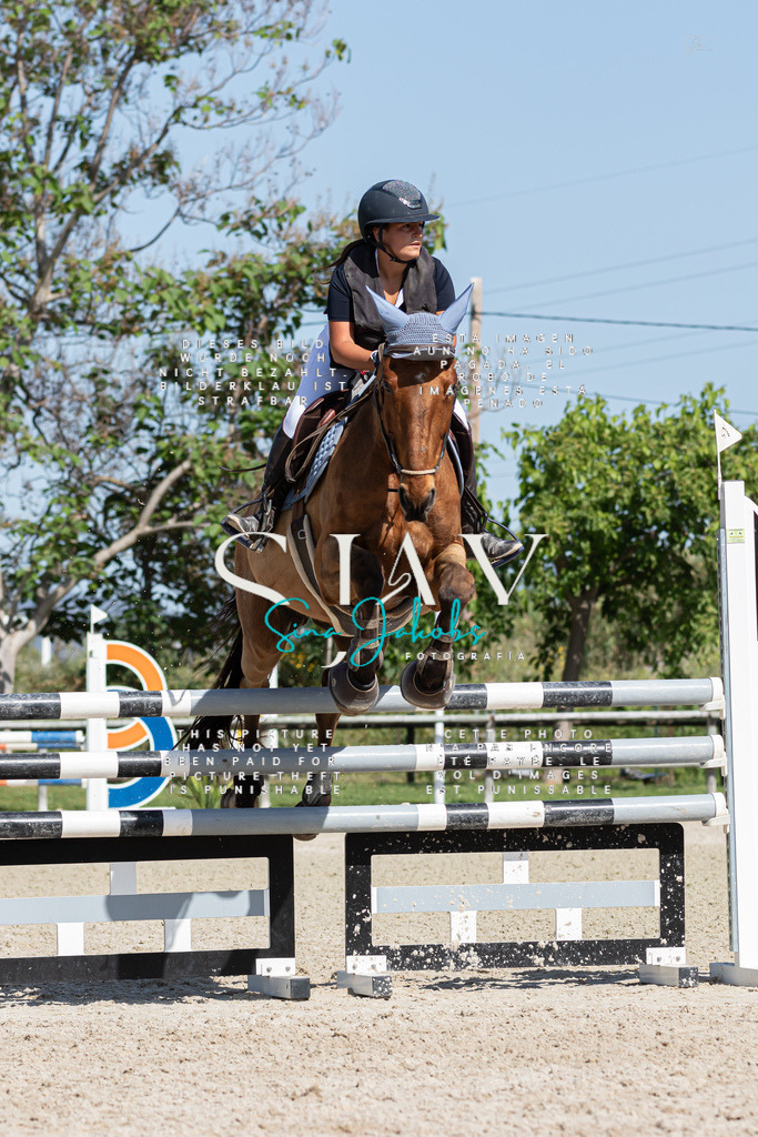 IMG_0831 | s-jay-photography - Realized with Pictrs.com