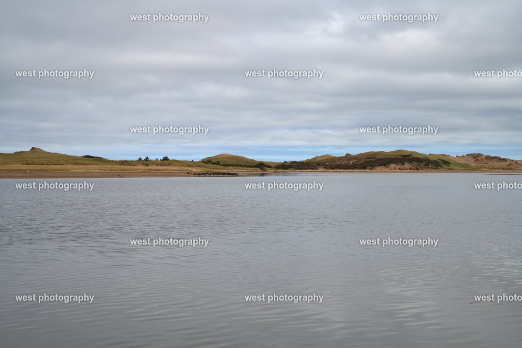 Price Edward Island Moment - CAN 2022 | west photography - Realisiert mit Pictrs.com