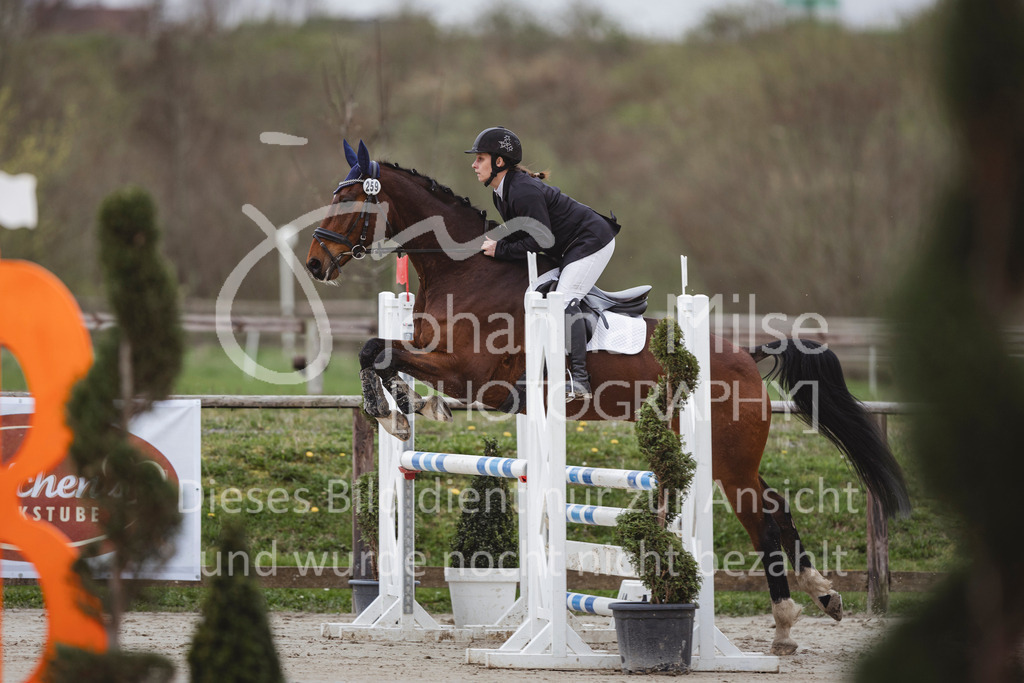 240330_Fruehlingsfest_Stil-A2-1-649 | Deine schönsten Turniermomente als professionelle Fotos! Entdecke hochwertige Pferdesport-Fotografie im Online-Shop. Jetzt Fotos finden & bestellen!