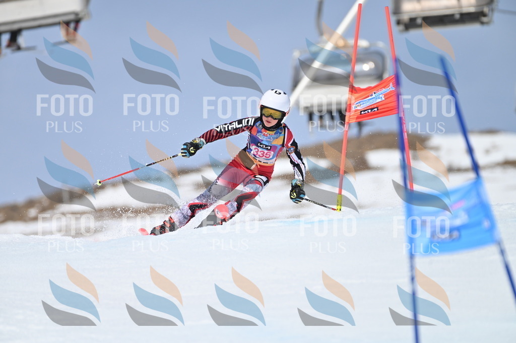 BGV_3367 | holidayphoto