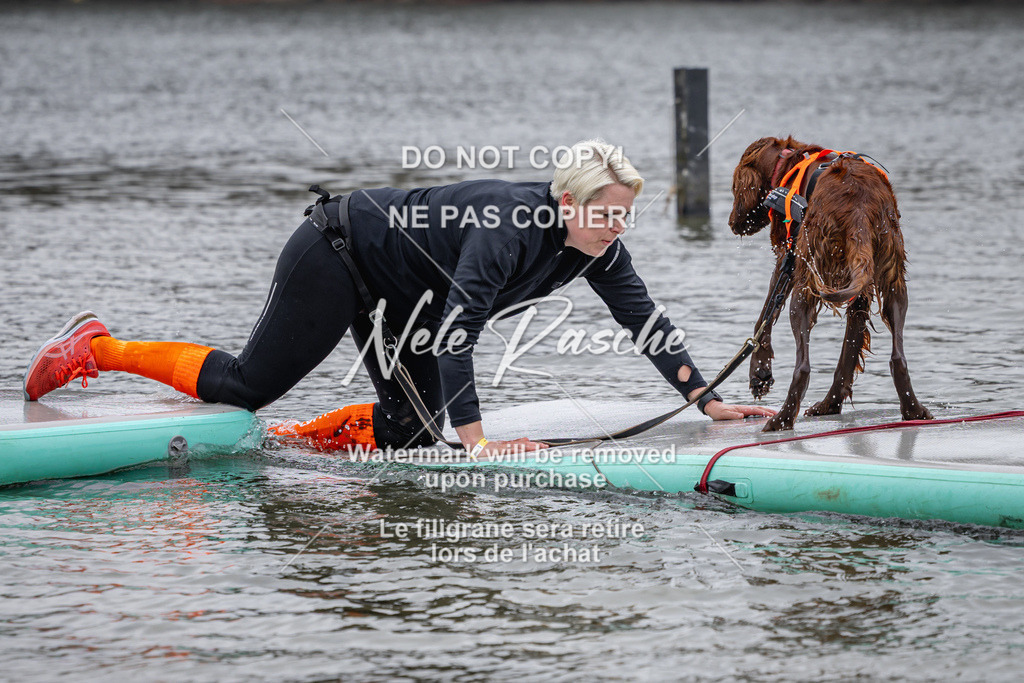 nelerasche_Hulsbeek_Sa1330-1430_264 | nelerasche