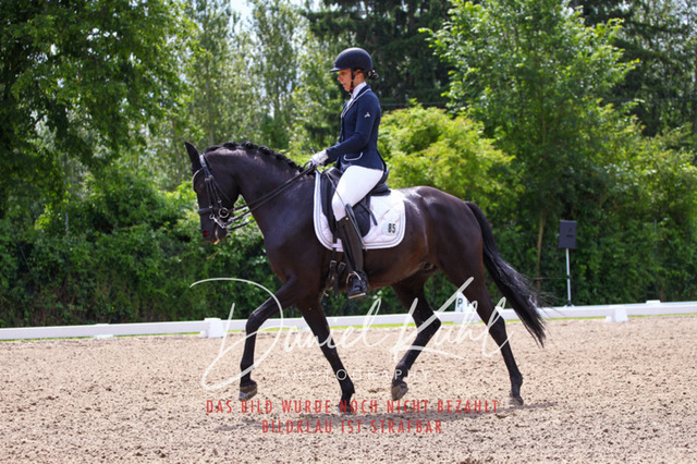 DKP41054 | Turnierfotos kaufen im Webshop von Daniel Kuhl Photography – entdecke professionelle Reitsportfotos aus Turnieren & Events. Hochwertige Turnierbilder online bestellen & sichern. Jetzt Fotos von Reitsportturnieren kaufen!