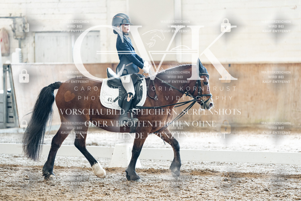 CK900384 | Turnierfotografie Pferdefotografie Trier Rheinland-Pfalz Pferdesport Reitsport Tierfotografie Sportfotografie Pferdevideo Pferdevideografie Equestrianvideography equestrianphotography  - Realisiert mit Pictrs.com