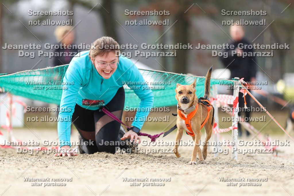 Dog Paparazzi - Strongdog North Mrz26-5381 | Dog Paparazzi Jeanette Grottendiek Fotografie & Videografie - Realisiert mit Pictrs.com