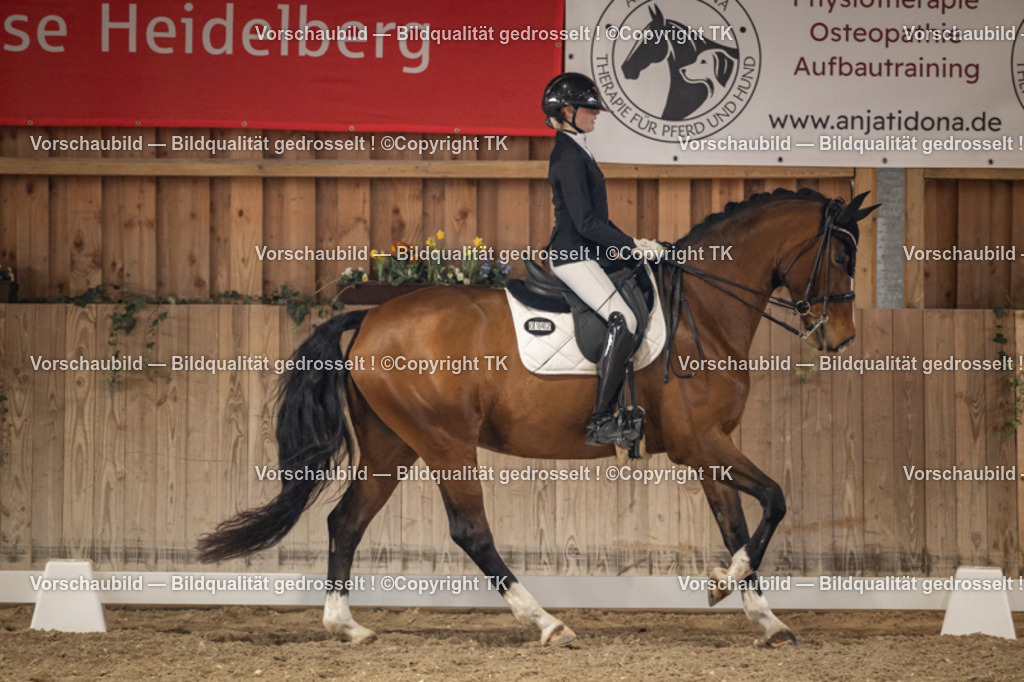 _D5A9021 | Emotionale Pferde- & People-Fotografie rund um Heidelberg, Leimen & Umgebung. Natürliche Fotos von Pferd, Mensch & Familie. Jetzt Termin sichern!