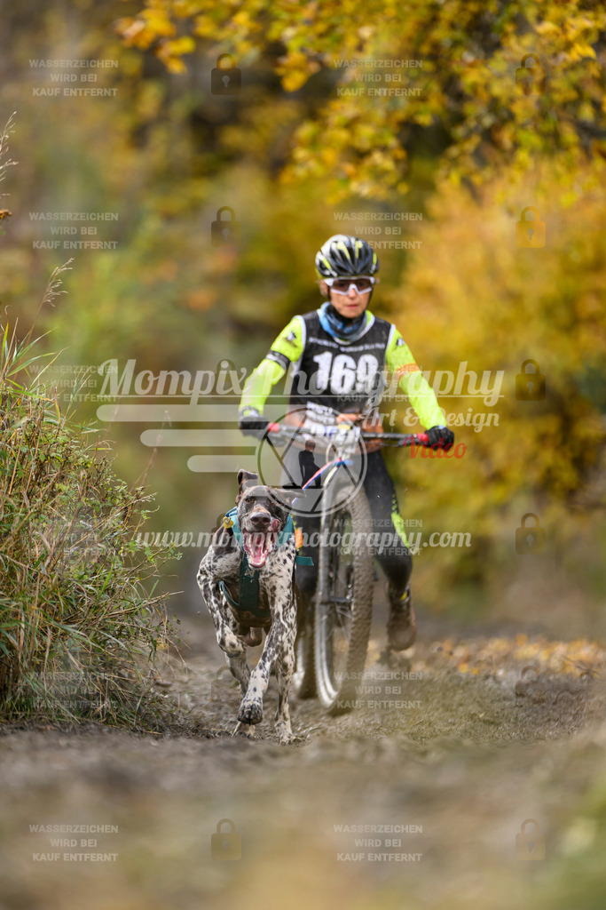 MompixPhotography_ICF_WC_2024_SA_Bike_-239 | PayLife
