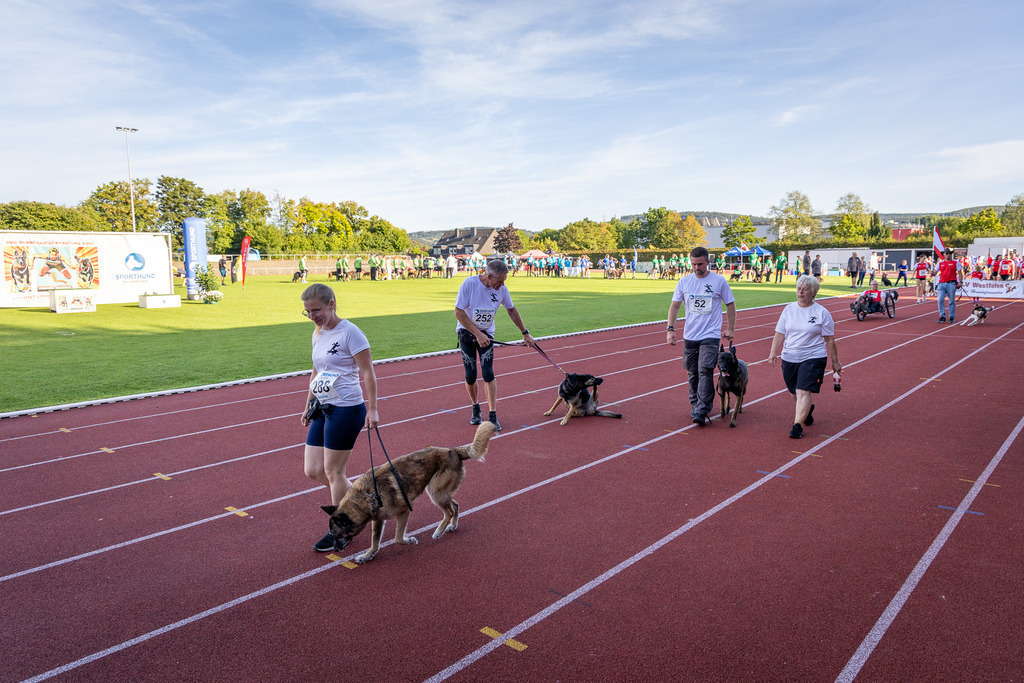 Pfotenfotografie_DV3A4313-2 | Hundefotografie, Tierfotograf, Pfotenfotografie, Fotoshooting Hund, Hunde Portrait, Hundesport, Hundeportraits, Heideshooting, Hunde, Sportfotograf, Hundefotograf, Turnierhundsport, THS,  - Realisiert mit Pictrs.com