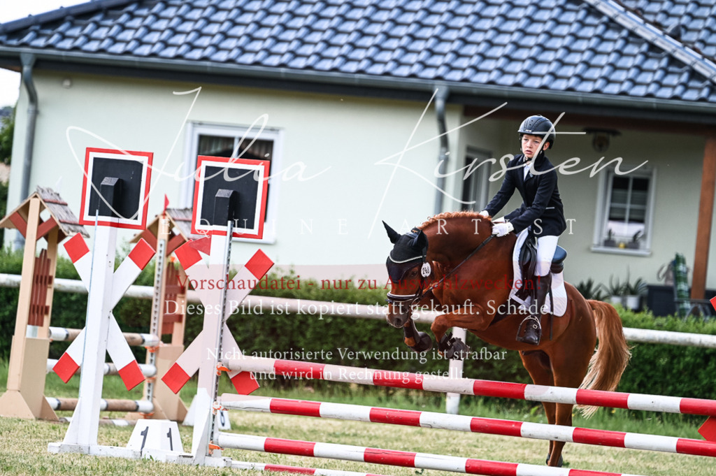 DSC_9059 | Pferde- und Turnierfotografie in Westsachsen. Pferdeportraits, Auftragszeichnungen und intuitive Kunst.