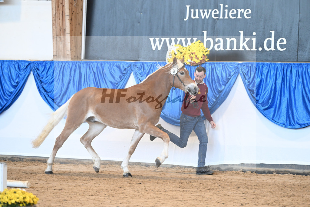 Kat-Nr. 9 nn v. Novastar_Heistinger_48250878 | hf-fotografie - Realisiert mit Pictrs.com