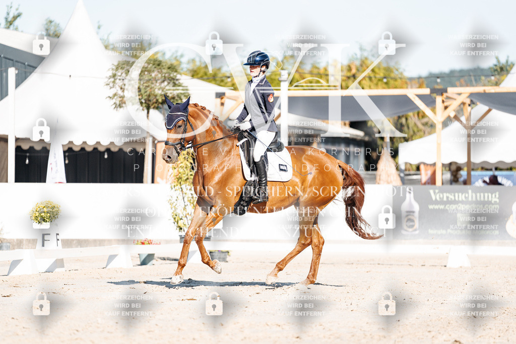 CK907338 | Turnierfotografie Pferdefotografie Trier Rheinland-Pfalz Pferdesport Reitsport Tierfotografie Sportfotografie Pferdevideo Pferdevideografie Equestrianvideography equestrianphotography  - Realisiert mit Pictrs.com