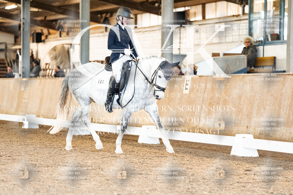CK907742 | Turnierfotografie Pferdefotografie Trier Rheinland-Pfalz Pferdesport Reitsport Tierfotografie Sportfotografie Pferdevideo Pferdevideografie Equestrianvideography equestrianphotography  - Realisiert mit Pictrs.com