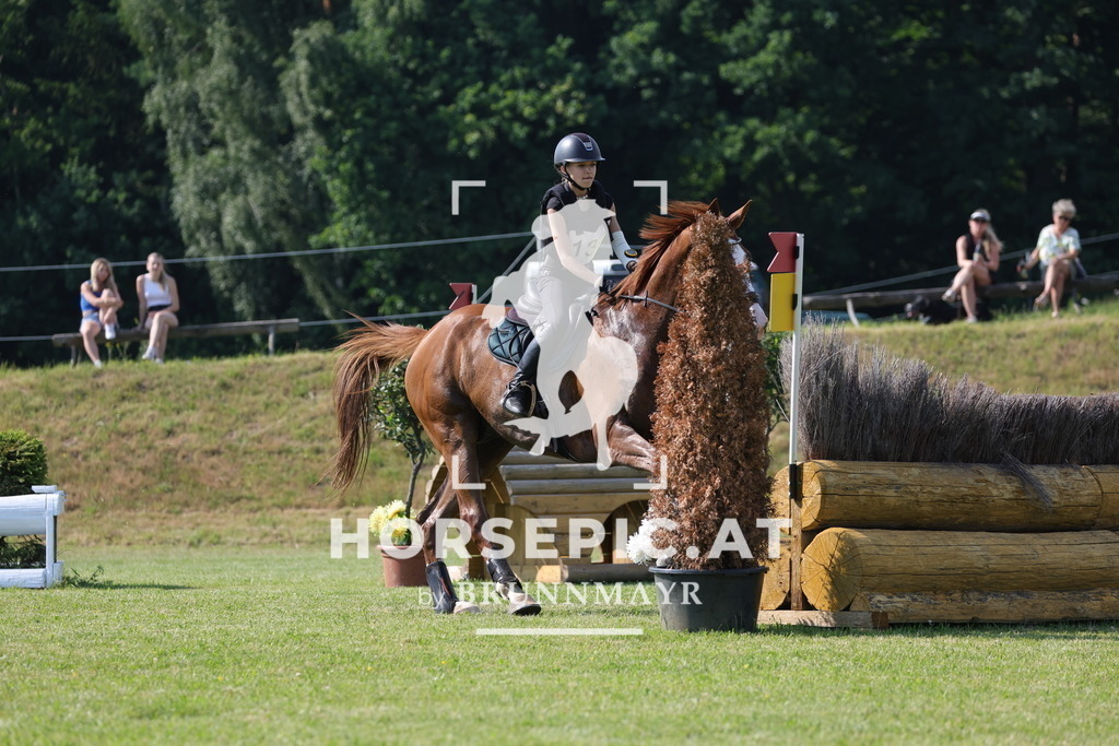0P6A9153 | Willkommen bei Brunnmayr - Design & Fotografie – Ihrem Spezialisten für Reitturniere und Pferdeveranstaltungen in Oberösterreich, Salzburg und Bayern! Seit über 17 Jahren sind wir leidenschaftlich dabei.