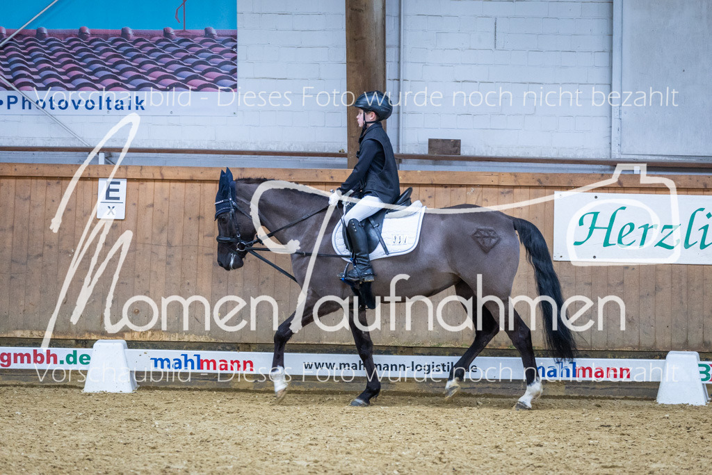 Sth-WBO25-RWBST-035 | MomenTaufnahmen Pferdesportfotos