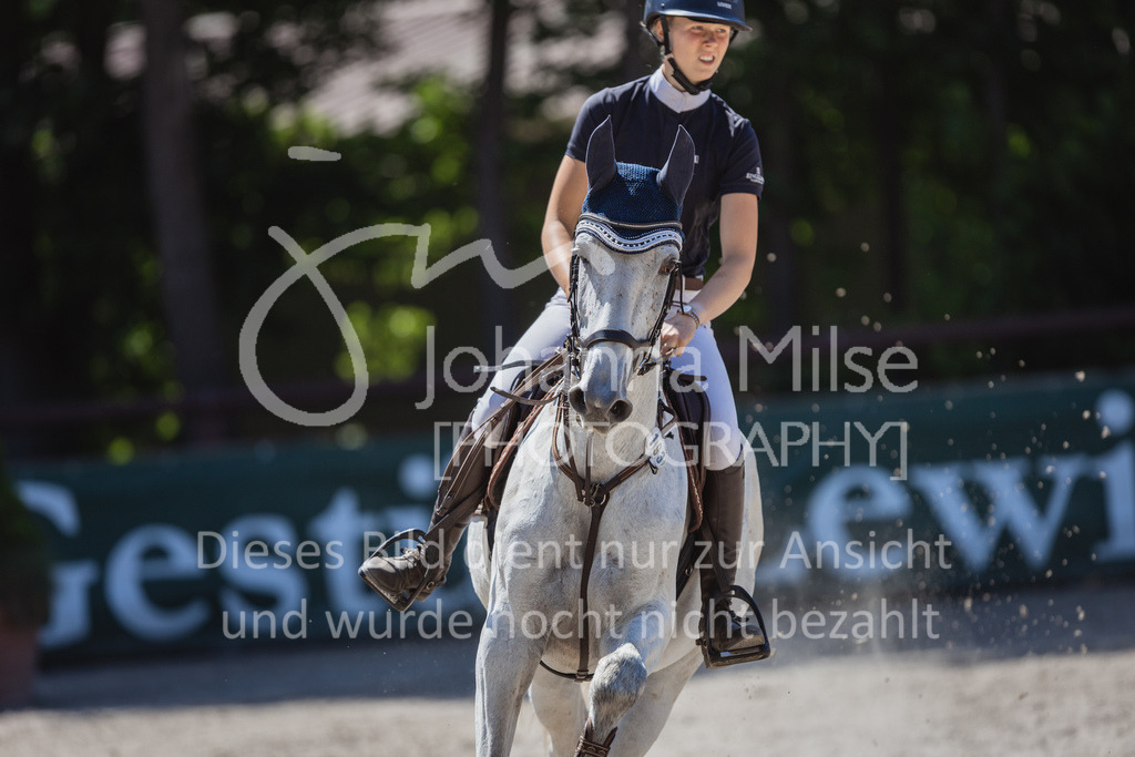 230610_Mühlen_Stil-L-152 | Deine schönsten Turniermomente als professionelle Fotos! Entdecke hochwertige Pferdesport-Fotografie im Online-Shop. Jetzt Fotos finden & bestellen!