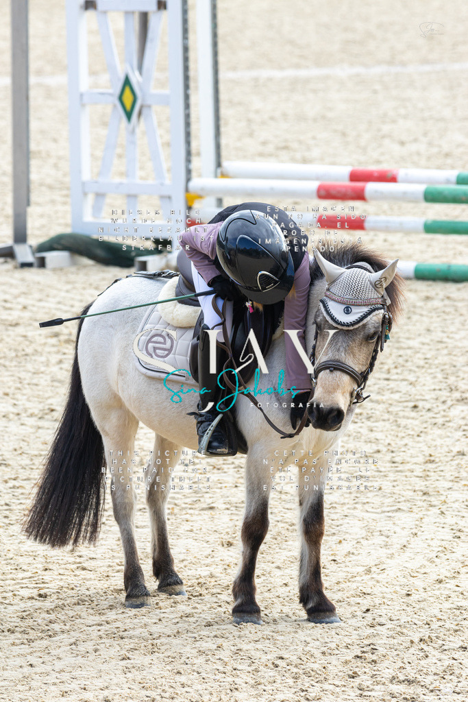 IMG_4752 | s-jay-photography - Realisiert mit Pictrs.com