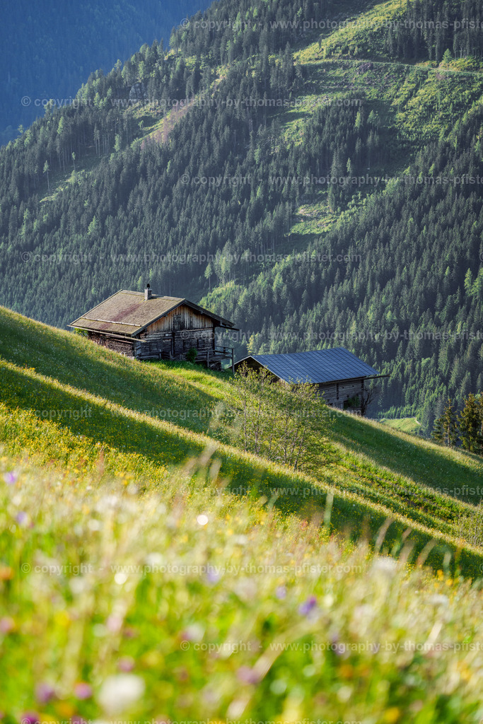 Frühling Möser Tux copyright  Thomas Pfister-3 | PHOTOGRAPHY BY THOMAS PFISTER