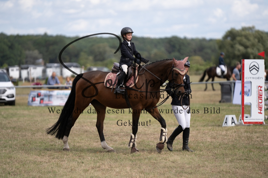 A7V08901 | Pferdefotograf